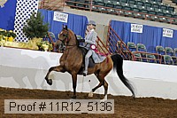 11r12_5136 thumbnail