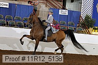 11r12_5138 thumbnail
