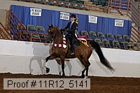 11r12_5141 thumbnail