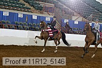 11r12_5146 thumbnail
