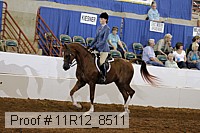 11r12_8511 thumbnail