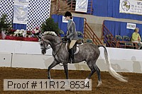 11r12_8534 thumbnail