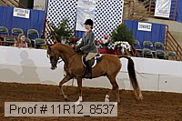 11r12_8537 thumbnail