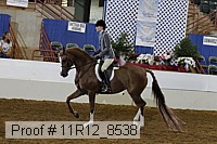 11r12_8538 thumbnail