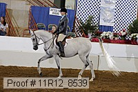 11r12_8539 thumbnail
