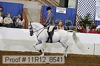 11r12_8541 thumbnail
