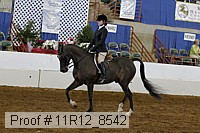 11r12_8542 thumbnail
