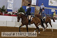 11r12_8544 thumbnail