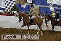 11r12_8547 thumbnail