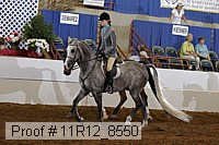 11r12_8550 thumbnail