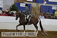 11r12_8552 thumbnail