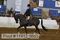 11r12_8553 thumbnail