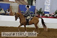 11r12_8554 thumbnail