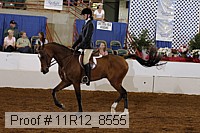 11r12_8555 thumbnail