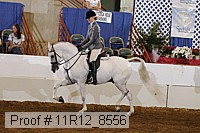 11r12_8556 thumbnail