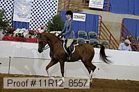 11r12_8557 thumbnail