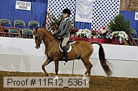 11r12_5361 thumbnail