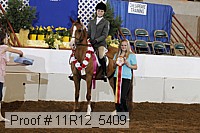 11r12_5409 thumbnail