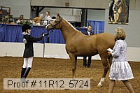 11r12_5724 thumbnail