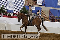 11r12_5775 thumbnail