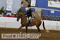 11r12_5777 thumbnail