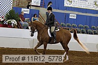 11r12_5778 thumbnail