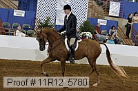11r12_5780 thumbnail