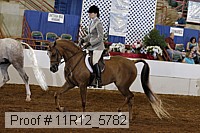 11r12_5782 thumbnail