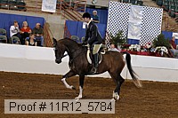 11r12_5784 thumbnail