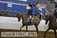 11r12_5788 thumbnail
