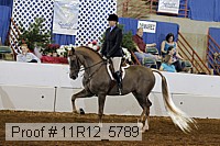 11r12_5789 thumbnail