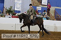 11r12_5792 thumbnail