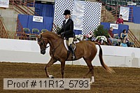 11r12_5793 thumbnail