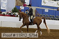 11r12_5794 thumbnail