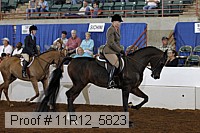 11r12_5823 thumbnail