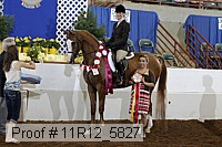 11r12_5827 thumbnail