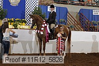 11r12_5828 thumbnail