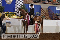11r12_5829 thumbnail