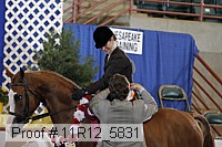 11r12_5831 thumbnail