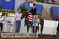 11r12_5836 thumbnail