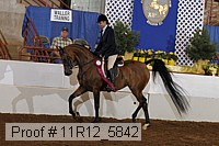 11r12_5842 thumbnail