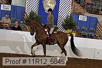 11r12_5845 thumbnail