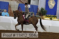 11r12_5846 thumbnail