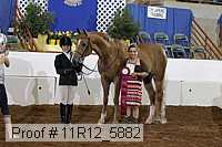 11r12_5882 thumbnail