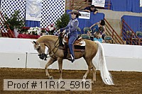 11r12_5916 thumbnail