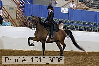 11r12_6008 thumbnail