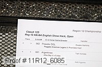 11r12_6085 thumbnail