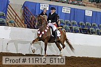 11r12_6110 thumbnail