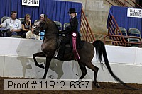 11r12_6337 thumbnail