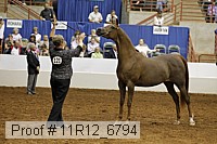 11r12_6794 thumbnail